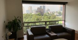 Departamento en Venta en Polanco V Sección