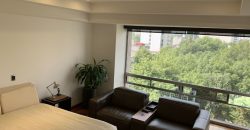 Departamento en Venta en Polanco V Sección